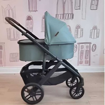 Luxury Baby Stroller by UPPAbaby